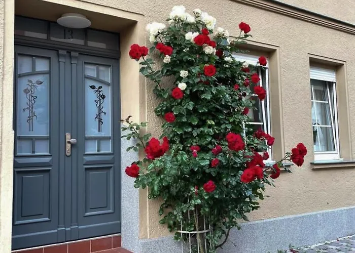 Jethon In Der Gasse 2